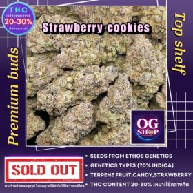 Weed Buds Shop Delivery Krabi Thailand Cannabis flower Name Strawberry cookies Grow by OG team From OG shop Thailand ดอกแห้ง Strawberry cookies ปลูกโดย OG team จาก OG shop ประเทศไทย