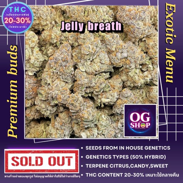 Cannabis Online Buy Order Krabi Thailand Cannabis flower Name Jelly breath Grow by OG team From OG shop Thailand ดอกแห้ง Jelly breath ปลูกโดย OG team จาก OG shop ประเทศไทย