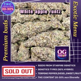 Weed Shop Dispensary Krabi Thailand Cannabis flower Name White apple runtz Grow by OG team From OG shop Thailand ดอกแห้ง White apple runtz ปลูกโดย OG team จาก OG shop ประเทศไทย