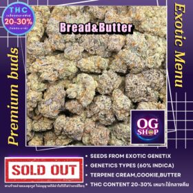 Cannabis flower Name Bread&Butter Exotic genetix Grow by OG team From OG shop Thailand ดอกแห้ง Bread&Butter ปลูกโดย OG team จาก OG shop ประเทศไทย Cannabis Delivery Krabi Thailand