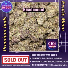 Cannabis Online Delivery Krabi Thailand Cannabis flower Name Headmount Grow by OG team From OG shop Thailand ดอกแห้ง Headmount ปลูกโดย OG team จาก OG shop ประเทศไทย