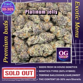 Cannabis Market Krabi Thailand Cannabis flower Name Platinum jelly Grow by OG team From OG shop Thailand ดอกแห้ง Platinum jelly ปลูกโดย OG team จาก OG shop ประเทศไทย