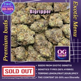 Cannabis Online Buy Orders Thailand Cannabis flower Name Big ripper Grow by OG team From OG shop Thailand ดอกแห้ง Big ripper ปลูกโดย OG team จาก OG shop ประเทศไทย