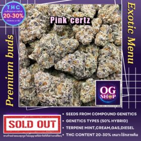 Cannabis Flowers Top-shelf Grade Thailand Cannabis buds Cannabis flower Name Pink certz Grow by OG team From OG shop Thailand ดอกแห้ง Pink certz ปลูกโดย OG team จาก OG shop ประเทศไทย