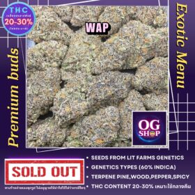 Weed Buds Premium Best Quality Krabi Thailand Cannabis flower Name Wap Grow by OG team From OG shop Thailand ดอกแห้ง Wap ปลูกโดย OG team จาก OG shop ประเทศไทย