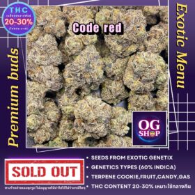 Cannabis dispensary Krabi Thailand Cannabis flower Name Code red Grow by OG team From OG shop Thailand ดอกแห้ง Code red ปลูกโดย OG team จาก OG shop ประเทศไทย