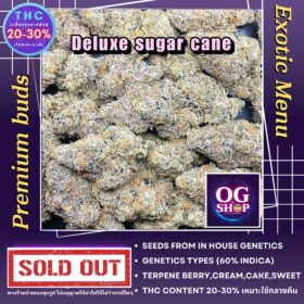 Weed Farm Krabi Thailand Cannabis flower Name Deluxe sugar cane Grow by OG team From OG shop Thailand ดอกแห้ง Deluxe sugar cane ปลูกโดย OG team จาก OG shop ประเทศไทย