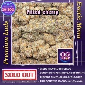 Cannabis Store Online Krabi Thailand Cannabis flower Name Pitted cherry Grow by OG team From OG shop Thailand ดอกแห้ง Pitted cherry ปลูกโดย OG team จาก OG shop ประเทศไทย