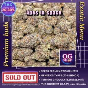 Cannabis Shop Dispensary Online Krabi Thailand Cannabis flower Name Apes in space Grow by OG team From OG shop Thailand ดอกแห้ง Apes in space ปลูกโดย OG team จาก OG shop ประเทศไทย