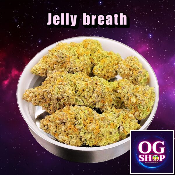 Cannabis flower Name Jelly breath S1 Grow by OG team From OG shop Thailand ดอกแห้ง Jelly breath S1 ปลูกโดย OG team จาก OG shop ประเทศไทย