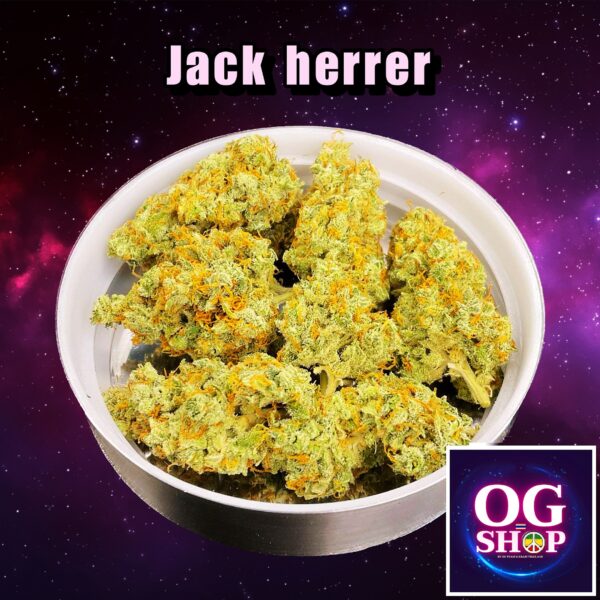 Cannabis flower Name Jack herrer Grow by OG team From OG shop Thailand ดอกแห้ง Jack herrer ปลูกโดย OG team จาก OG shop ประเทศไทย