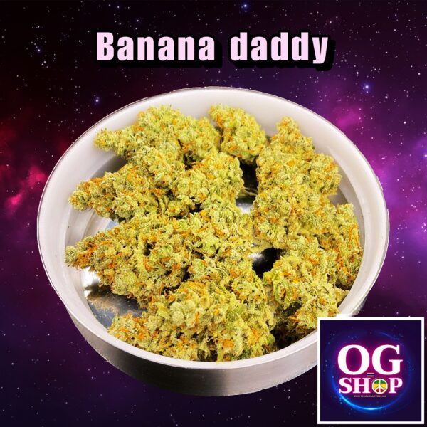 Cannabis flower Name Banana daddy R1 Grow by OG team From OG shop Thailand ดอกแห้ง Banana daddy R1 ปลูกโดย OG team จาก OG shop ประเทศไทย
