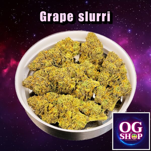 Cannabis flower Name Grape slurri Grow by OG team From OG shop Thailand ดอกแห้ง Grape slurri ปลูกโดย OG team จาก OG shop ประเทศไทย
