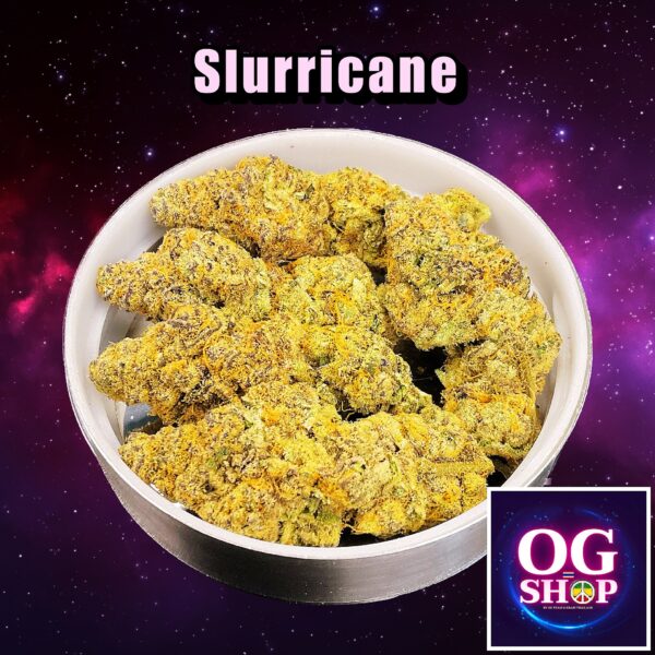 Cannabis flower buds weed Name Slurricane Grow by OG team From OG shop Thailand ดอกแห้ง Slurricane ปลูกโดย OG team จาก OG shop ประเทศไทย