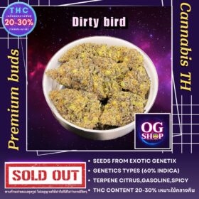 Cannabis flower Name Dirty bird Grow by OG team From OG shop Thailand ดอกแห้ง Dirty bird ปลูกโดย OG team จาก OG shop ประเทศไทย