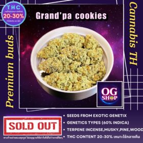 Cannabis flower Name Grandpa's cookies R1 Grow by OG team From OG shop Thailand ดอกแห้ง Grandpa's cookies R1 ปลูกโดย OG team จาก OG shop ประเทศไทย