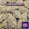 Cannabis Online Shop Krabi Thailand Cannabis flower Name Crescendo RBX1 Grow by OG team From OG shop Thailand ดอกแห้ง Crescendo RBX1 ปลูกโดย OG team จาก OG shop ประเทศไทย