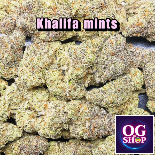 Cannabis flower Name Khalifa mints Grow by OG team From OG shop Thailand ดอกแห้ง Khalifa mints ปลูกโดย OG team จาก OG shop ประเทศไทย