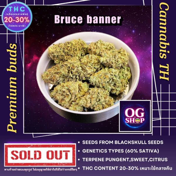 Cannabis flower Name Bruce banner (Blackskull seeds) Grow by OG team From OG shop Thailand ดอกแห้ง Bruce banner (Blackskull seeds) ปลูกโดย OG team จาก OG shop ประเทศไทย