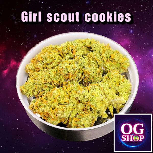 Cannabis flower Name Girl scout cookies (Fastbuds genetics) Grow by OG team From OG shop Thailand ดอกแห้ง Girl scout cookies (Fastbuds genetics) ปลูกโดย OG team จาก OG shop ประเทศไทย