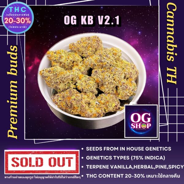 Cannabis flower Name OG KB V2.1 Grow by OG team From OG shop Thailand ดอกแห้ง OG KB V2.1 ปลูกโดย OG team จาก OG shop ประเทศไทย