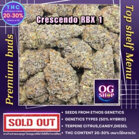 Cannabis Online Shop Krabi Thailand Cannabis flower Name Crescendo RBX1 Grow by OG team From OG shop Thailand ดอกแห้ง Crescendo RBX1 ปลูกโดย OG team จาก OG shop ประเทศไทย