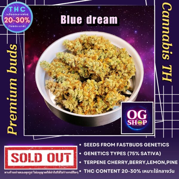 Cannabis flower Name Blue dream (Fastbuds genetics) Grow by OG team From OG shop Thailand ดอกแห้ง Blue dream (Fastbuds genetics) ปลูกโดย OG team จาก OG shop ประเทศไทย