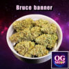 Cannabis flower Name Bruce banner (Blackskull seeds) Grow by OG team From OG shop Thailand ดอกแห้ง Bruce banner (Blackskull seeds) ปลูกโดย OG team จาก OG shop ประเทศไทย