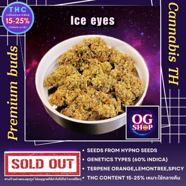Cannabis flower Name Ice eyes Grow by OG team From OG shop Thailand ดอกแห้ง Ice eyes ปลูกโดย OG team จาก OG shop ประเทศไทย