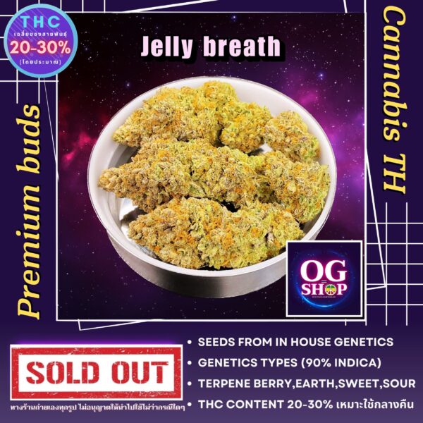 Cannabis flower Name Jelly breath S1 Grow by OG team From OG shop Thailand ดอกแห้ง Jelly breath S1 ปลูกโดย OG team จาก OG shop ประเทศไทย