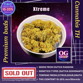 Cannabis flower Name Xtreme Grow by OG team From OG shop Thailand ดอกแห้ง Xtreme ปลูกโดย OG team จาก OG shop ประเทศไทย