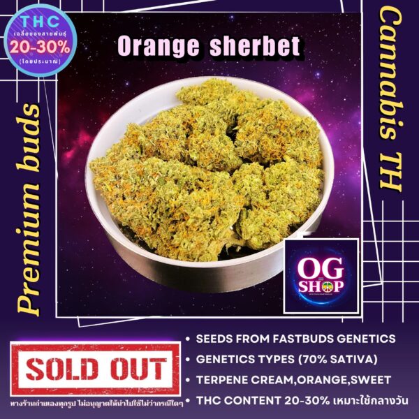 Cannabis flower Name Orange sherbet (Fastbuds genetics) Grow by OG team From OG shop Thailand ดอกแห้ง Orange sherbet (Fastbuds genetics) ปลูกโดย OG team จาก OG shop ประเทศไทย