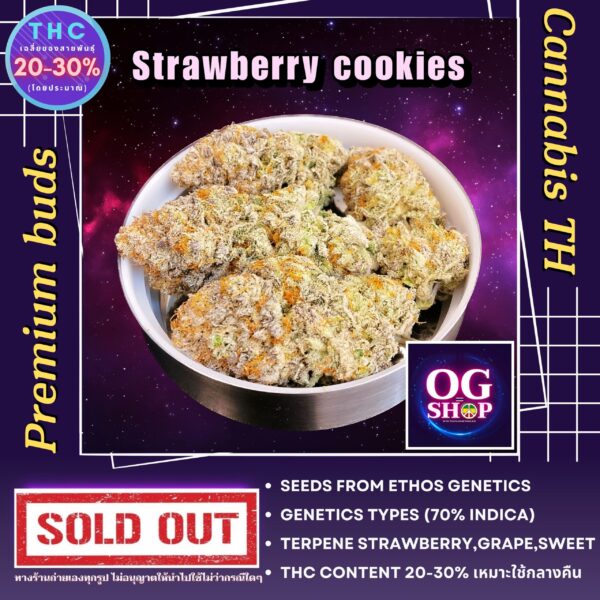 Cannabis flower buds Strawberry cookies OG R1 Grow by OG team From OG shop Thailand ดอกแห้ง Strawberry cookies OG R1 ปลูกโดย OG team จาก OG shop ประเทศไทย