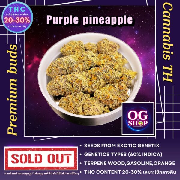 Cannabis flower Name Purple pineapple Grow by OG team From OG shop Thailand ดอกแห้ง Purple pineapple ปลูกโดย OG team จาก OG shop ประเทศไทย