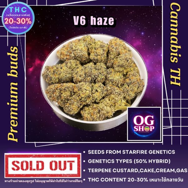 Cannabis flower Name V6 haze Grow by OG team From OG shop Thailand ดอกแห้ง V6 haze ปลูกโดย OG team จาก OG shop ประเทศไทย