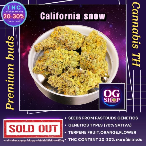 Cannabis flower Name California snow Grow by OG team From OG shop Thailand ดอกแห้ง California snow ปลูกโดย OG team จาก OG shop ประเทศไทย