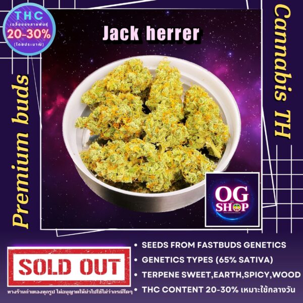 Cannabis flower Name Jack herer Grow by OG team From OG shop Thailand ดอกแห้ง Jack herer ปลูกโดย OG team จาก OG shop ประเทศไทย