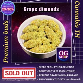 Cannabis flower Name Grape dimonds R2 Grow by OG team From OG shop Thailand ดอกแห้ง Grape dimonds R2 ปลูกโดย OG team จาก OG shop ประเทศไทย