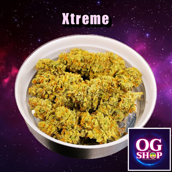 Cannabis flower Name Xtreme Grow by OG team From OG shop Thailand ดอกแห้ง Xtreme ปลูกโดย OG team จาก OG shop ประเทศไทย
