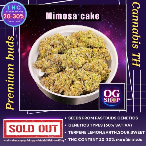 Cannabis flower Name Mimosa cake Grow by OG team From OG shop Thailand ดอกแห้ง Mimosa cake ปลูกโดย OG team จาก OG shop ประเทศไทย