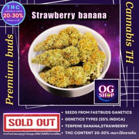 Cannabis flower Name Strawberry banana Grow by OG team From OG shop Thailand ดอกแห้ง Strawberry banana ปลูกโดย OG team จาก OG shop ประเทศไทย