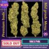 Skunk สกั๊ง (Landrace strain)