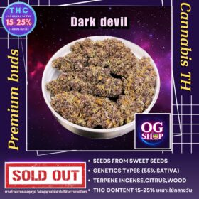 Cannabis flower Name Dark devil Grow by OG team From OG shop Thailand ดอกแห้ง Dark devil ปลูกโดย OG team จาก OG shop ประเทศไทย