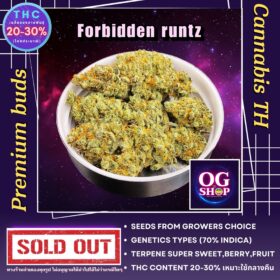 Cannabis flower Name Forbidden runtz Grow by OG team From OG shop Thailand ดอกแห้ง Forbidden runtz ปลูกโดย OG team จาก OG shop ประเทศไทย