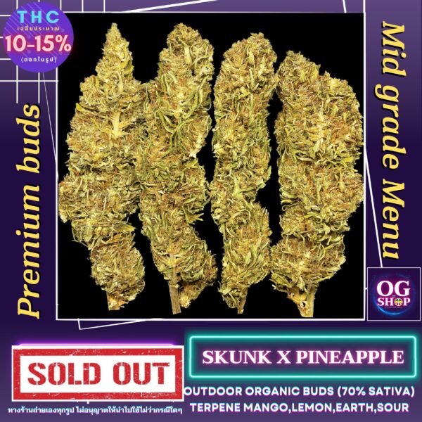 Mid grade OG : Skunk x Pineapple Order weed buds Mid grade cheap price 20 Bath per gram by OG shop Weed shop & Cannabis Farm Cheapest Online Delivery