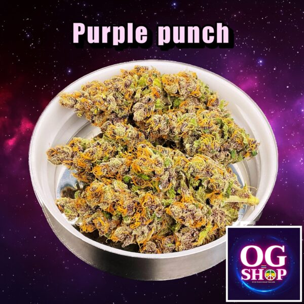 Cannabis flower Name Purple punch (Royal queen seeds) Grow by OG team From OG shop Thailand ดอกแห้ง Purple punch (Royal queen seeds) ปลูกโดย OG team จาก OG shop ประเทศไทย