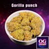 Cannabis flower Name Gorilla punch (Fastbuds genetics) Grow by OG team From OG shop Thailand ดอกแห้ง Gorilla punch (Fastbuds genetics) ปลูกโดย OG team จาก OG shop ประเทศไทย