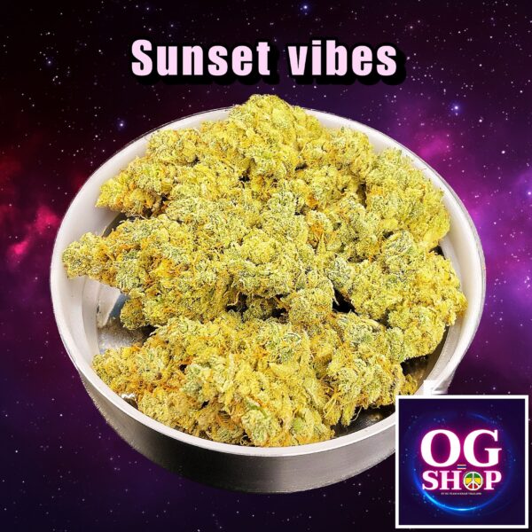 Cannabis flower Name Sunset vibes (G 13 Labs) Grow by OG team From OG shop Thailand ดอกแห้ง Sunset vibes (G 13 Labs) ปลูกโดย OG team จาก OG shop ประเทศไทย