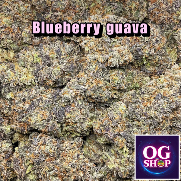 Cannabis flower Name Blueberry guava Grow by OG team From OG shop Thailand ดอกแห้ง Blueberry guava ปลูกโดย OG team จาก OG shop ประเทศไทย