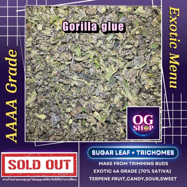 Sugar leaf + Trichomes เศษดอก + ใบทริมติดไตรโคม สายพันธุ์ Gorilla glue (Seeds stockers) Sugar leaf 100 ฿/g รายละเอียด/กลิ่น/อาการ/THC Information/Smell/Effect/Order ช่อดอกบ่มอย่างน้อย 1 เดือน ณ วันที่ลงขาย (ไม่รวมตาก) Cannabis buds  is curing 1 month up before sell